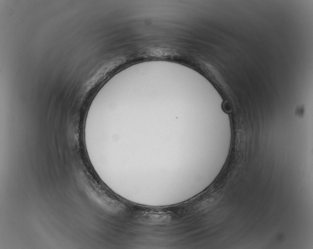 X0000116330443200912221423