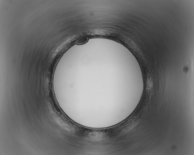 X0000116330444200912221423