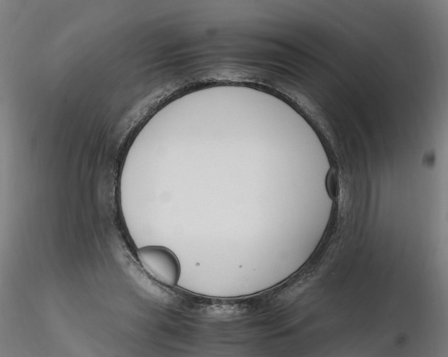 X0000116330445200912221423