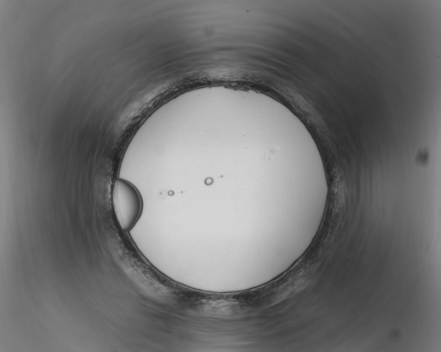 X0000116330446200912221423