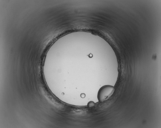 X0000116330447200912221423