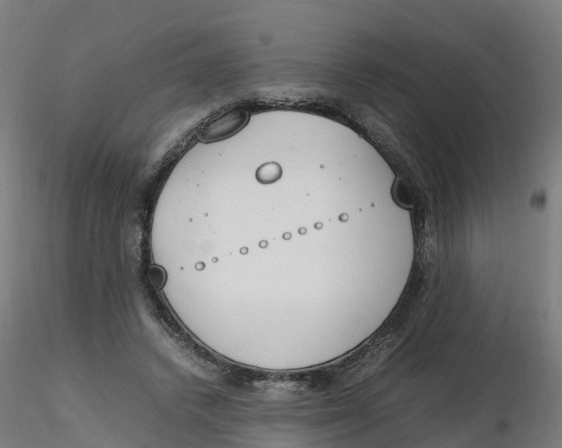 X0000116330448200912221423