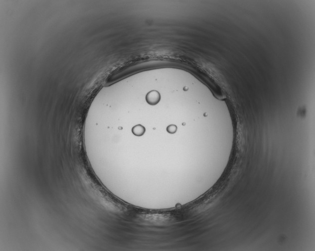 X0000116330449200912221423