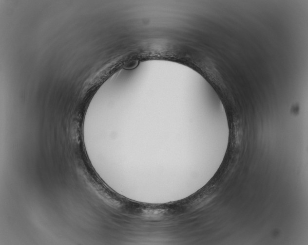 X0000116330450200912221423