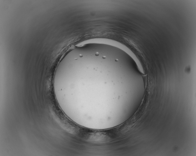 X0000116330451200912221423