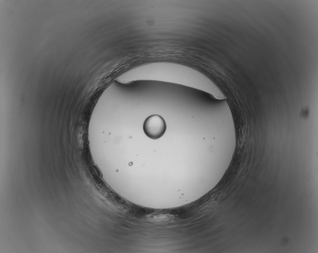 X0000116330452200912221423