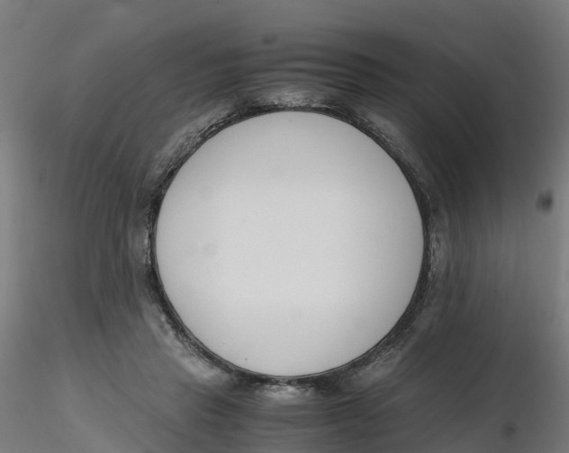 X0000116330453200912221423