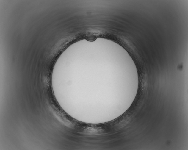 X0000116330455200912221423