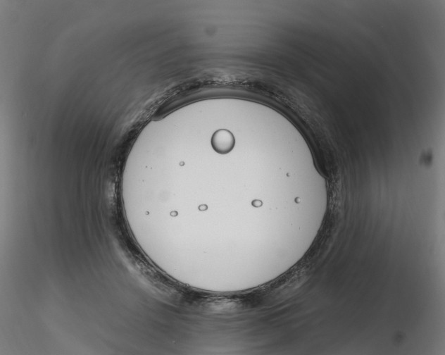 X0000116330456200912221423