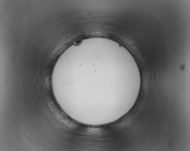 X0000116330457200912221423