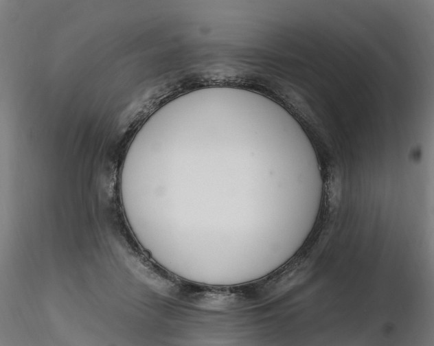 X0000116330458200912221423