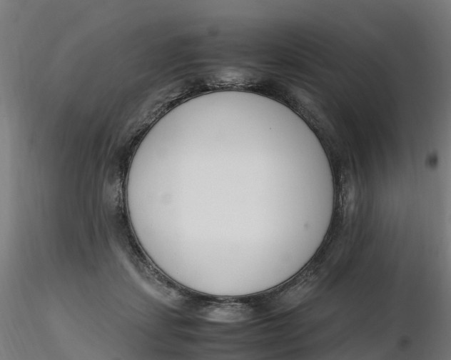 X0000116330459200912221423