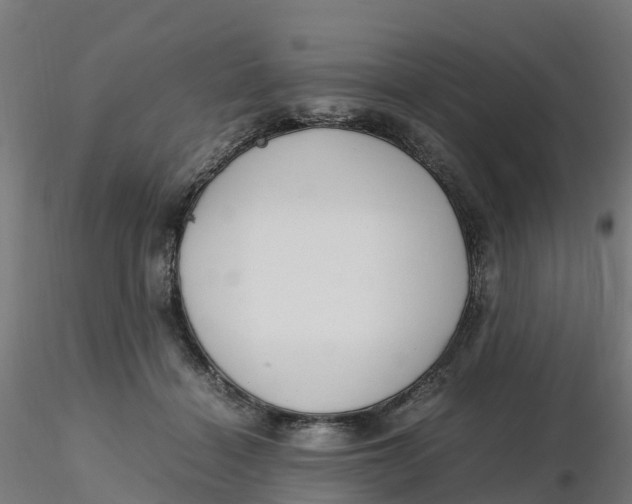 X0000116330460200912221423