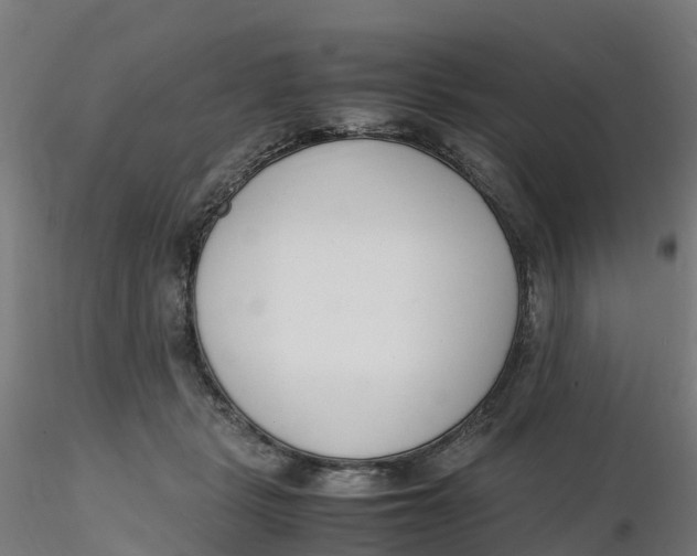 X0000116330461200912221423