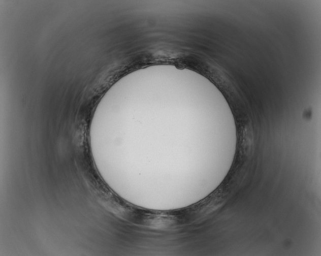 X0000116330463200912221423