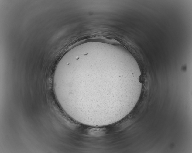 X0000116330465200912221423