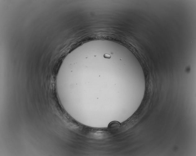 X0000116330467200912221423