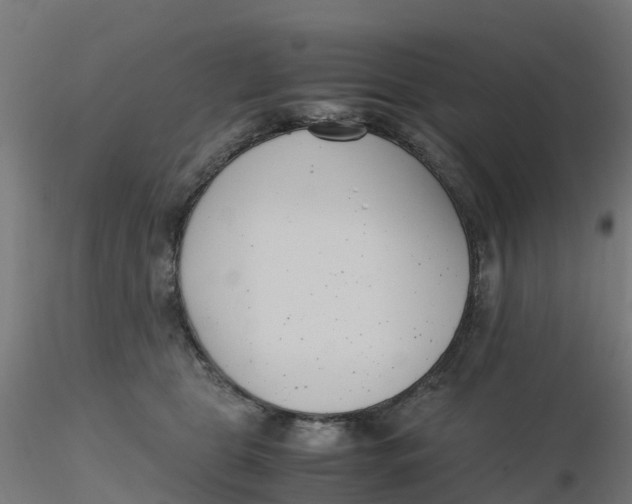 X0000116330469200912221423