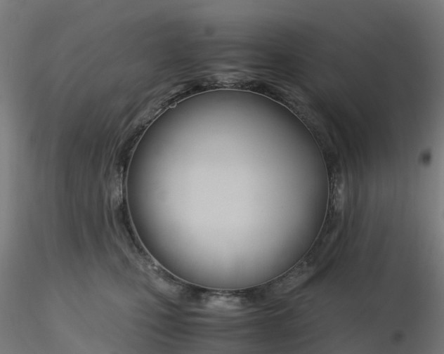 X0000116330471200912221423