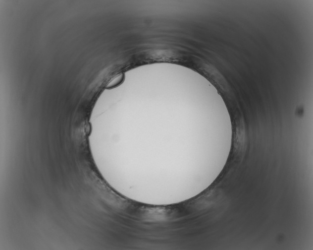 X0000116330473200912221424