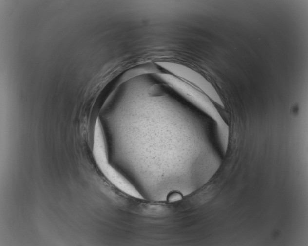 X0000116330475200912221424