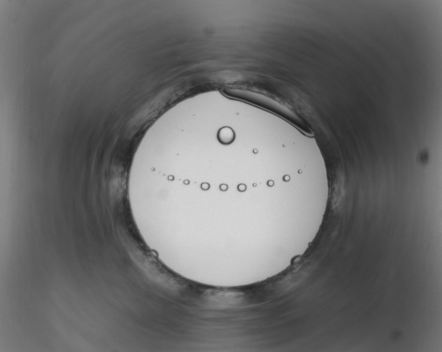 X0000116330476200912221424