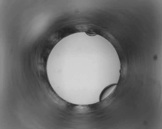 X0000116330477200912221424