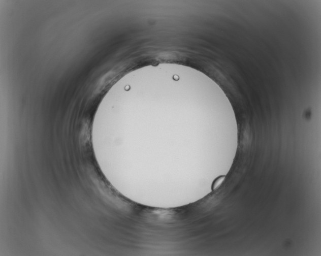 X0000116330478200912221424