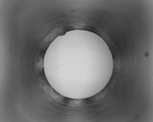 X0000116330479200912221424