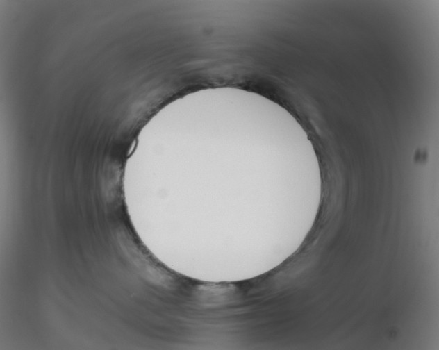 X0000116330480200912221424