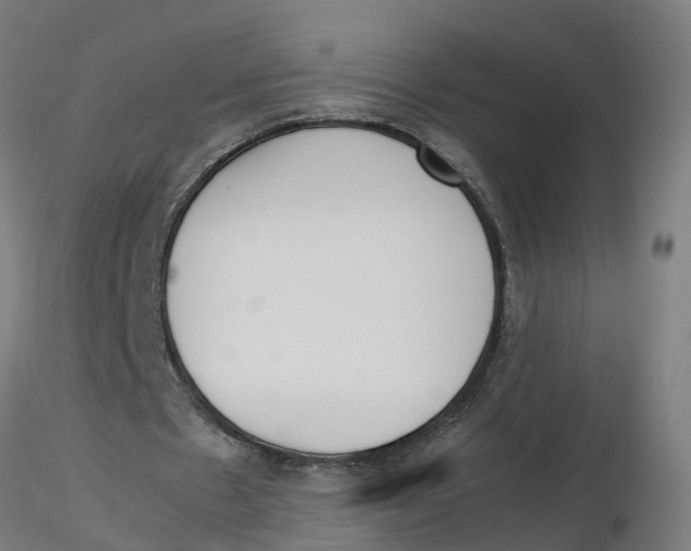 X0000116330481200912221423