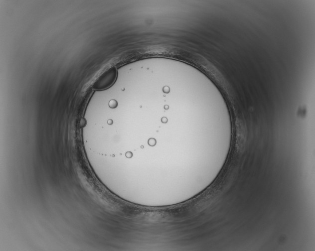 X0000116330482200912221423