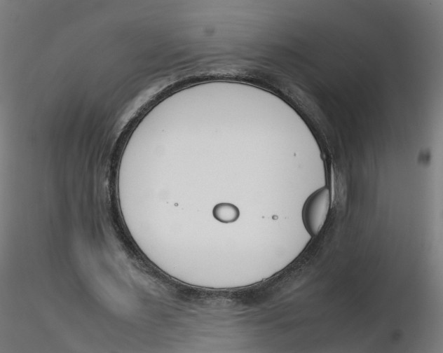 X0000116330483200912221423