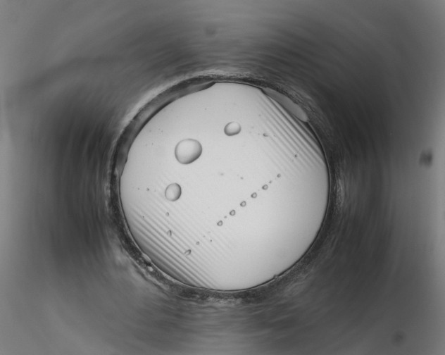 X0000116330484200912221423