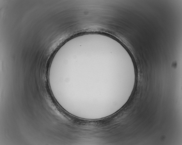 X0000116330485200912221423