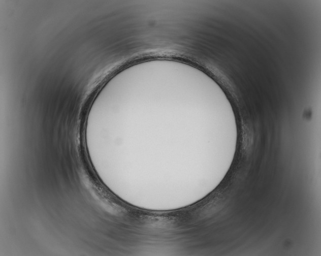 X0000116330486200912221423