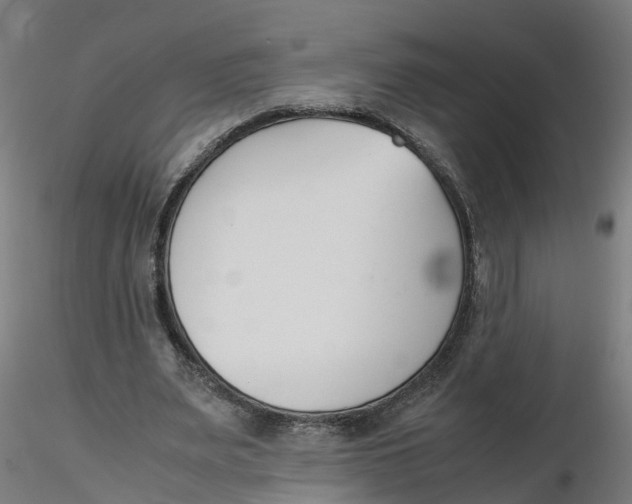 X0000116330487200912221423