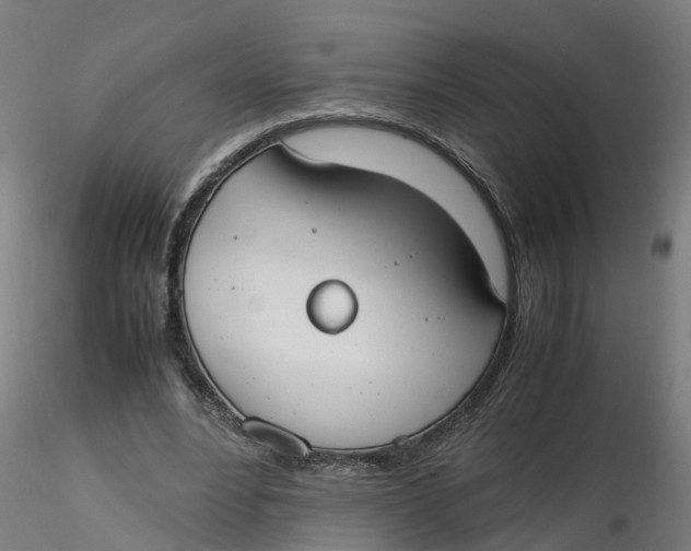 X0000116330488200912221423