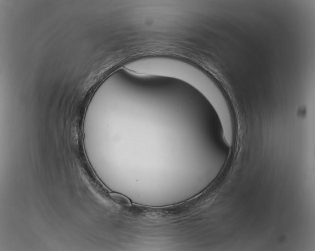 X0000116330489200912221423