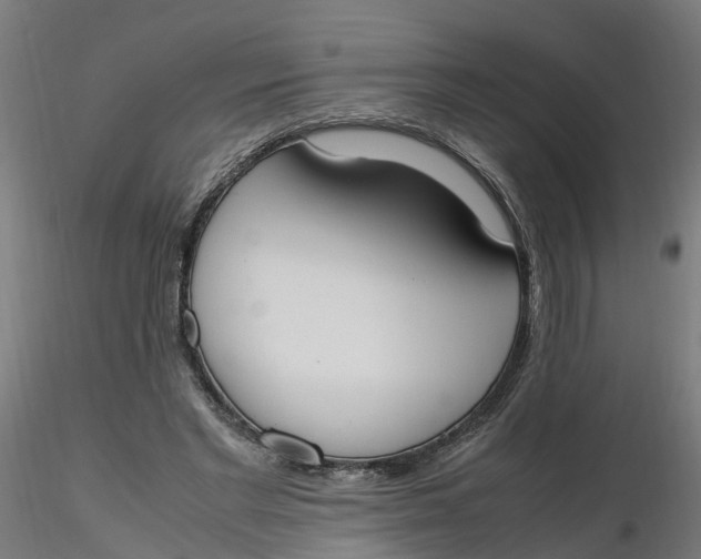 X0000116330493200912221423