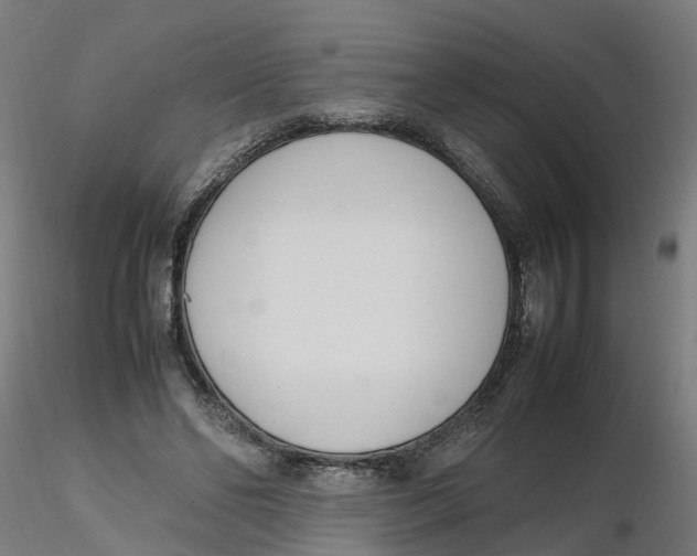 X0000116330494200912221423