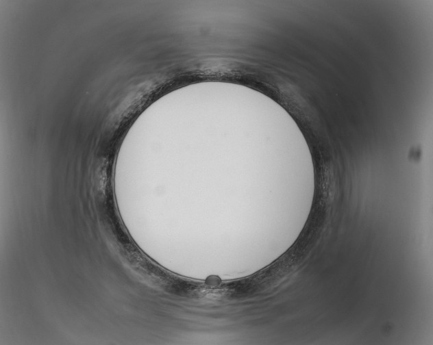 X0000116330495200912221423