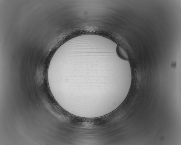 X0000116330496200912221423