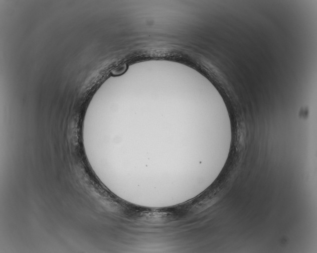 X0000116330497200912221423