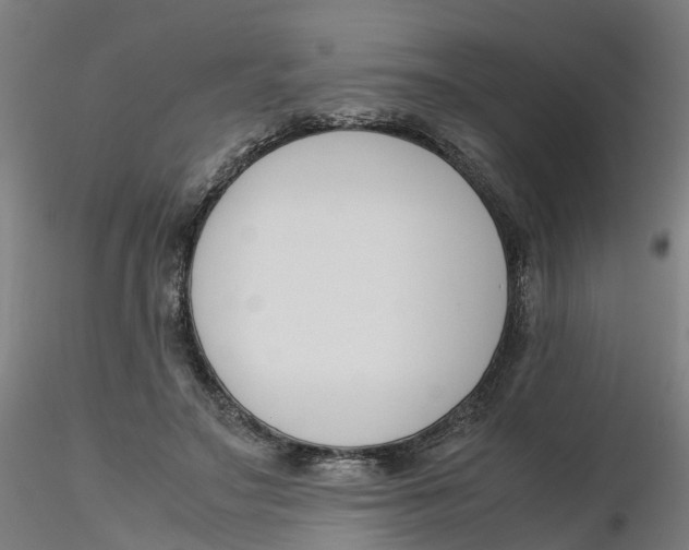 X0000116330499200912221423