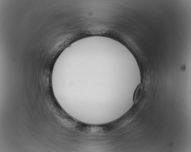 X0000116330501200912221423