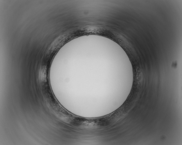 X0000116330502200912221423