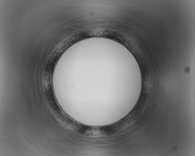 X0000116330503200912221423