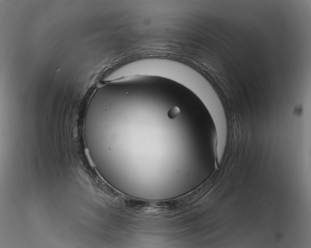 X0000116330504200912221423