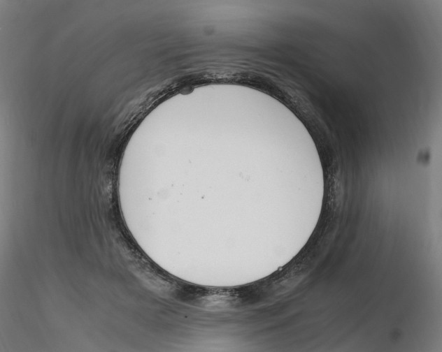 X0000116330505200912221423